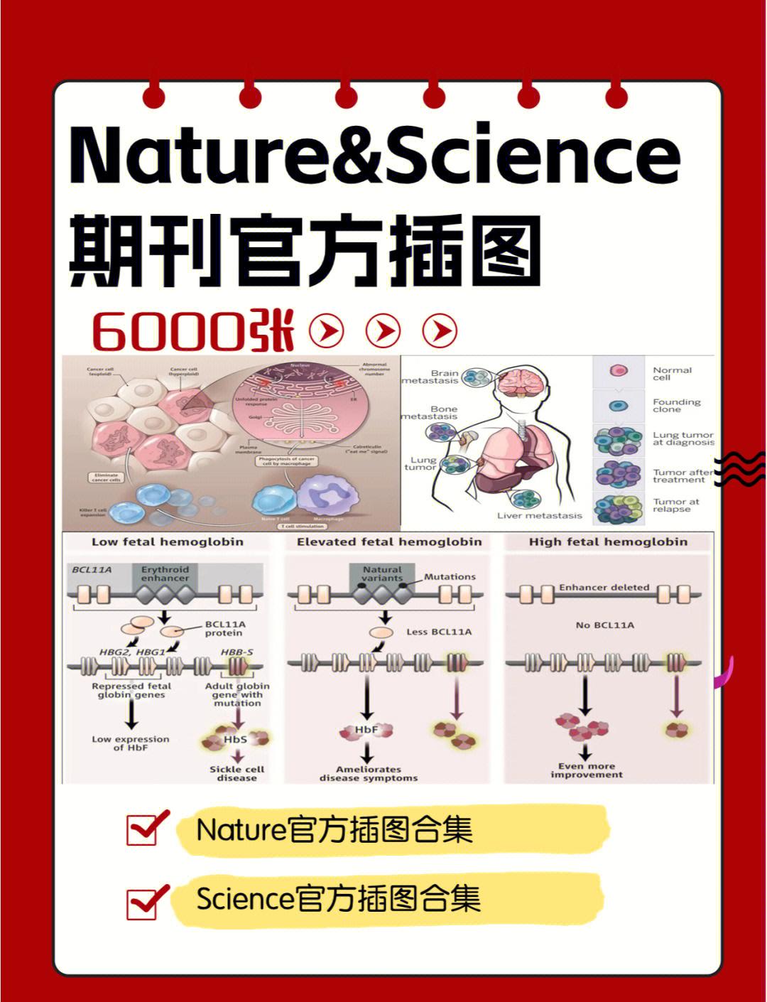 4个科学自然提升免疫力方法：跳出维C误区，筑牢身体防御屏障